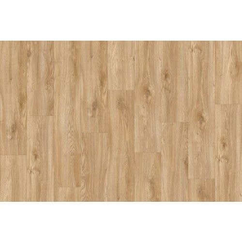 IVC Moduleo IVC Moduleo 55 LVT Impressive Sierra Oak vinyl vloeren IVC Moduleo IVC Moduleo 55 LVT Impressive Sierra Oak vinyl vloeren