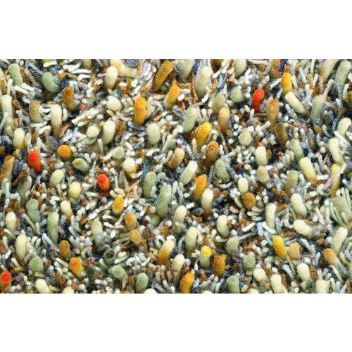 Brink &amp; Campman Brink &amp; Campman Spring vloerkleed