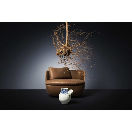 Moooi Moooi Bart Swivel fauteuil Moooi Moooi Bart Swivel fauteuil