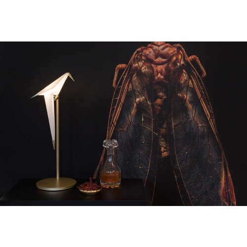 Moooi Moooi Perch Light Table tafellamp Moooi Moooi Perch Light Table tafellamp